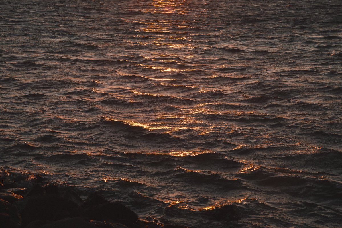 photos from yesteedayyyyyy