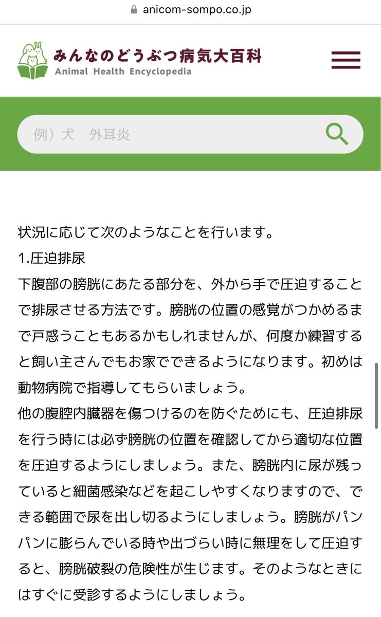 scarabmark's tweet photo. @mendokuseyo @sa_kagi_sa 自分の写りを気にしすぎて、猫を見てないんですよね💦
上手にしなかったら、膀胱破裂や細菌感染の恐れもあるのに・・｡ﾟ(ﾟ´ω`ﾟ)ﾟ｡

#アニマルフォレスト https://t.co/3Y6muLt9YA