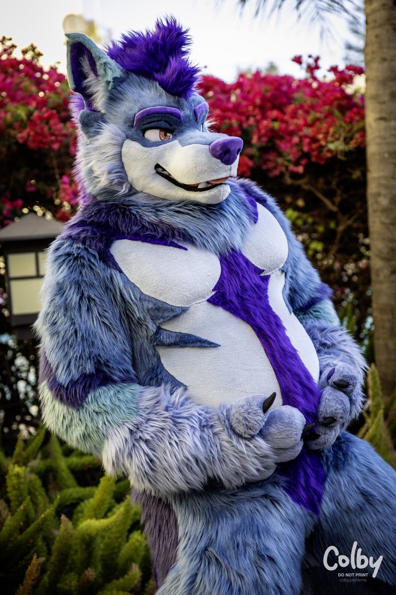 Big dad needs some big belly rubs. #FursuitFriday
📸: <a href="/colby_husky/">Colby! - colby.dog</a>