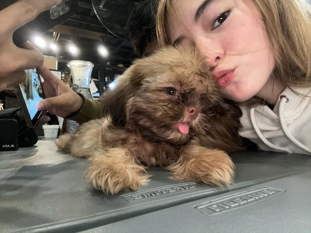 Fyang’s professionalism 🔛🔝

patuchi has been very very close to her heart, but despite the pain and fear of losing her baby, she continued working with big smiles, waving to the crowd and accomodating them, even had the time to visit a fan project

run free, patuchi baby 🤍🕊️🍃