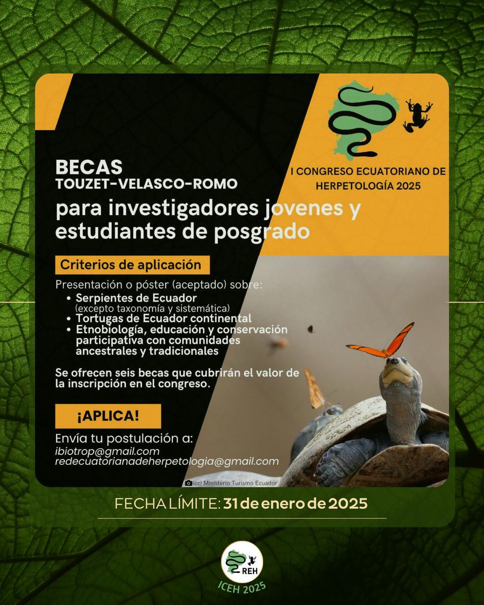 RECORDATORIO BECAS I CONGRESO ECUATORIANO DE HERPETOLOGÍA (Fecha límite aplicación: 31 enero 2025).