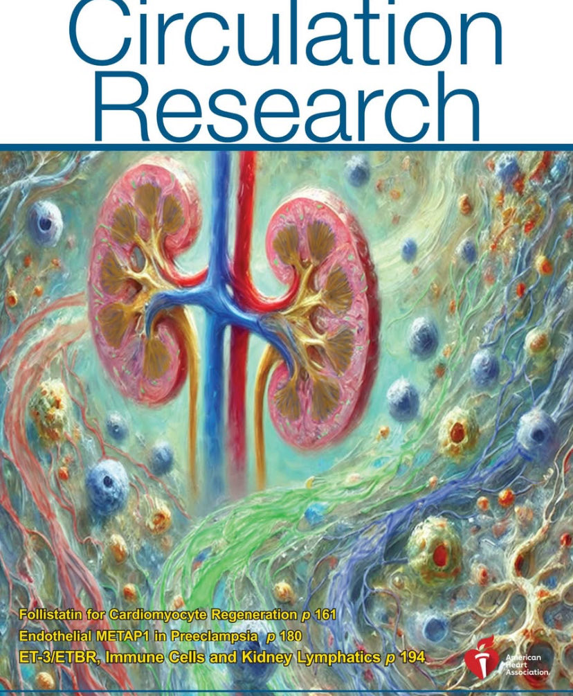 Annet Kirabo D.V.M., M.Sc., Ph.D., F.A.H.A. (@annetkiraboc1) on Twitter photo Thrilled to see our paper featured on the cover of @circres!
🎉 #ET-3/#ETBR signaling in #lymphatic vessel dynamics as a novel player in #kidney disease pathogenesis - potential therapeutic target.
Read more: ahajrnls.org/3WoU9az
<a href="/ashleypitzer/">ashley pitzer</a> <a href="/Jianyong_zhong/">zhongzhong</a> @EShelton24 Thrilled to see our paper featured on the cover of @circres!
🎉 #ET-3/#ETBR signaling in #lymphatic vessel dynamics as a novel player in #kidney disease pathogenesis - potential therapeutic target.
Read more: ahajrnls.org/3WoU9az
<a href="/ashleypitzer/">ashley pitzer</a> <a href="/Jianyong_zhong/">zhongzhong</a> @EShelton24