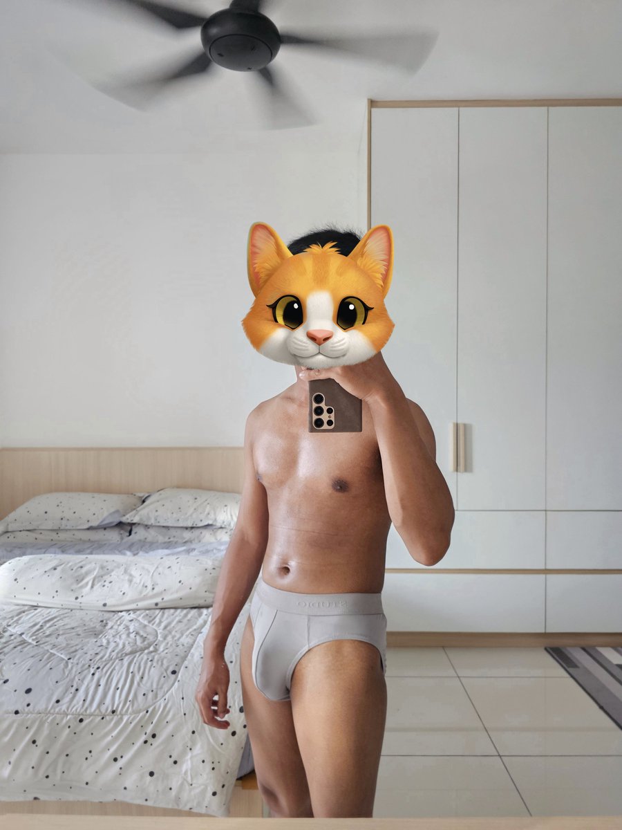 Your Meowness 🐱🦁🐯 tweet media