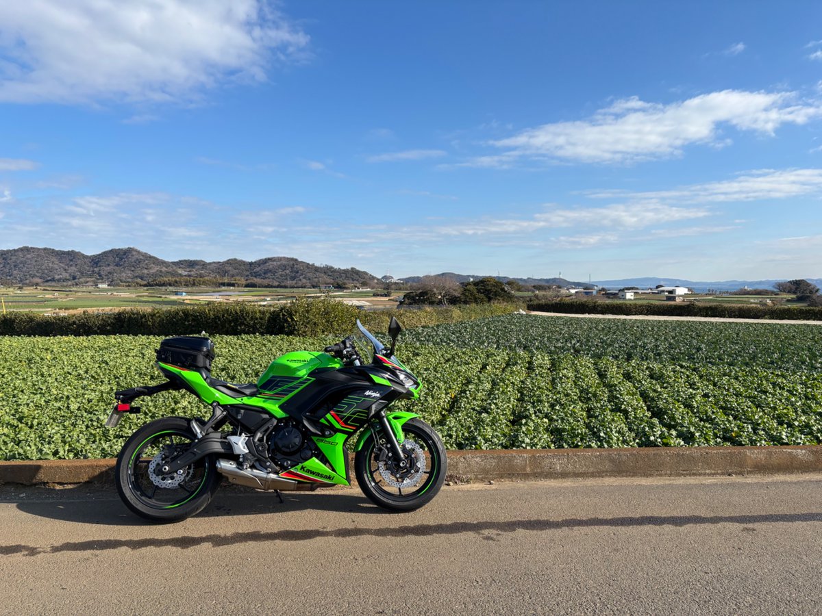 同僚と房総ツーリングのハズが急遽中止になったので、単独で城ヶ島へ　#Ninja650