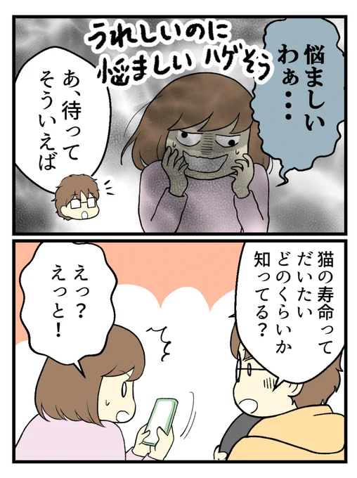 (2/8) 