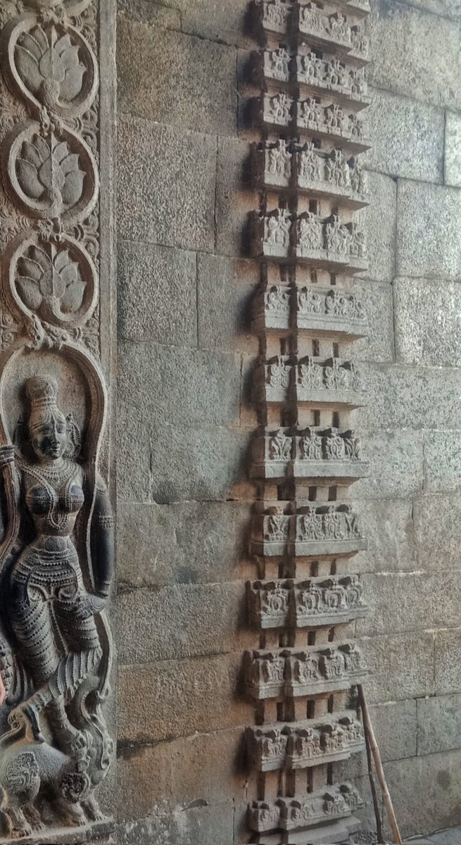 SholaiShans's tweet image. Textured 🤩