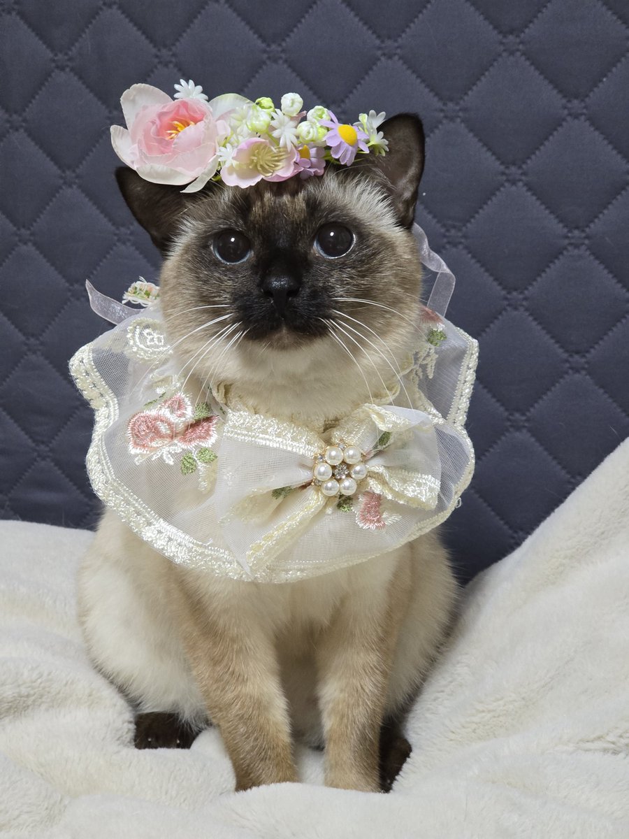 아름다워.....💐