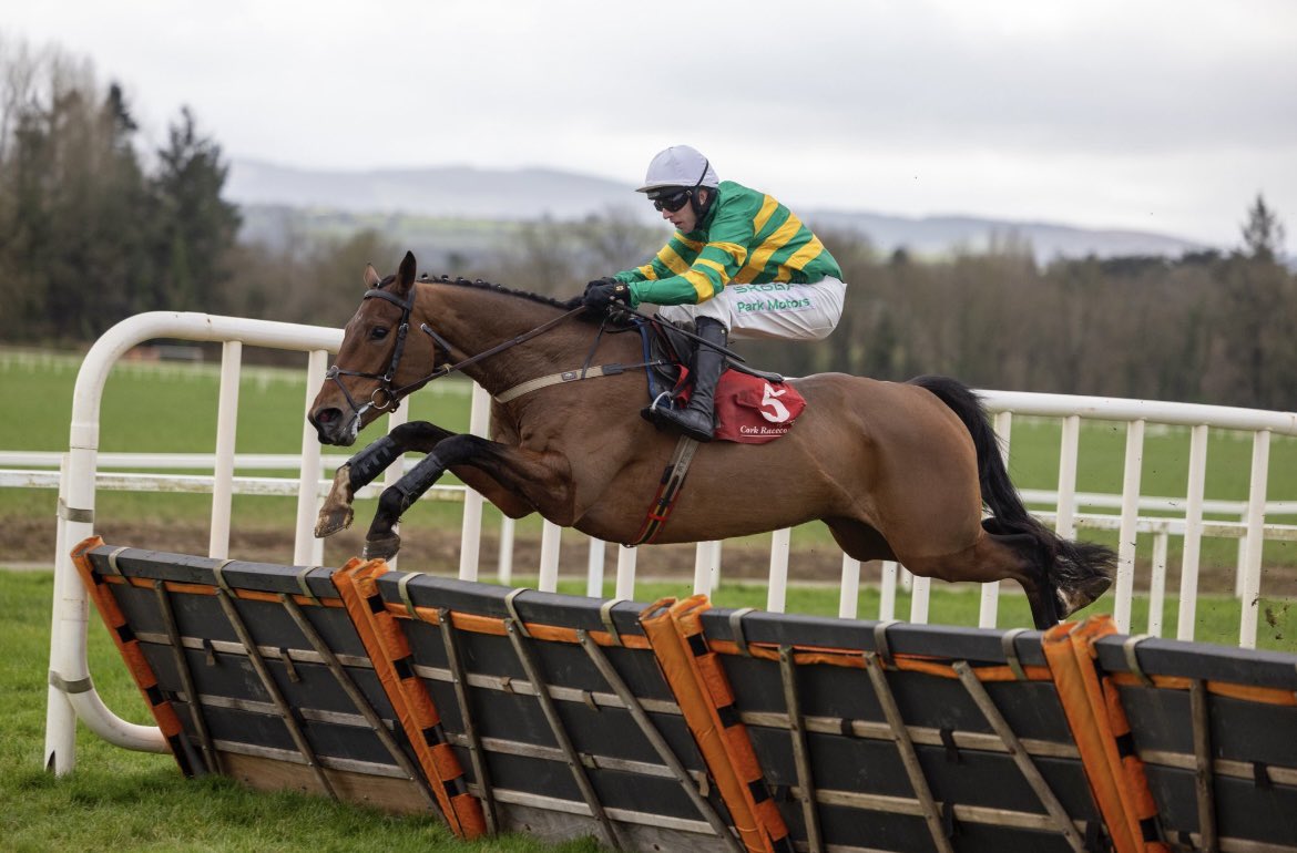 Brilliant win for Pure Steel in <a href="/corkracecourse/">Cork Racecourse</a> yesterday. Congrats to all connections. Sold as a store in the <a href="/Goffs1866/">Goffs</a> Defender sale in 2023 #evergreengrads