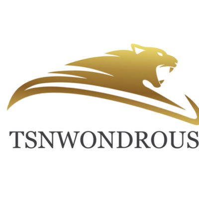 Tsnwondrous tweet media