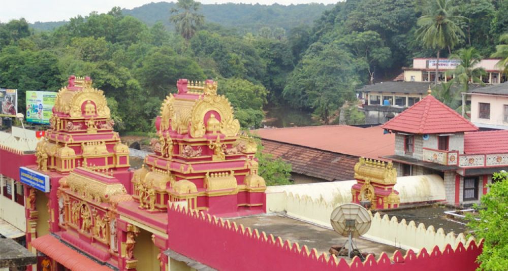 Vihara Darshani tweet media