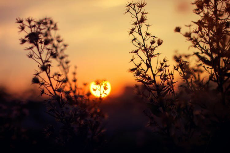 zeeshan_sultan1's tweet photo. Intelligent people are always more interested in listening than in speaking.

#xokitty #savetiktok #massfollowing #dropshipping #bradpitt #createforchange #love #instagram #fashion #photography #beautiful #nature #travel #follow #happy #cute. https://t.co/LbtOwTdzIW