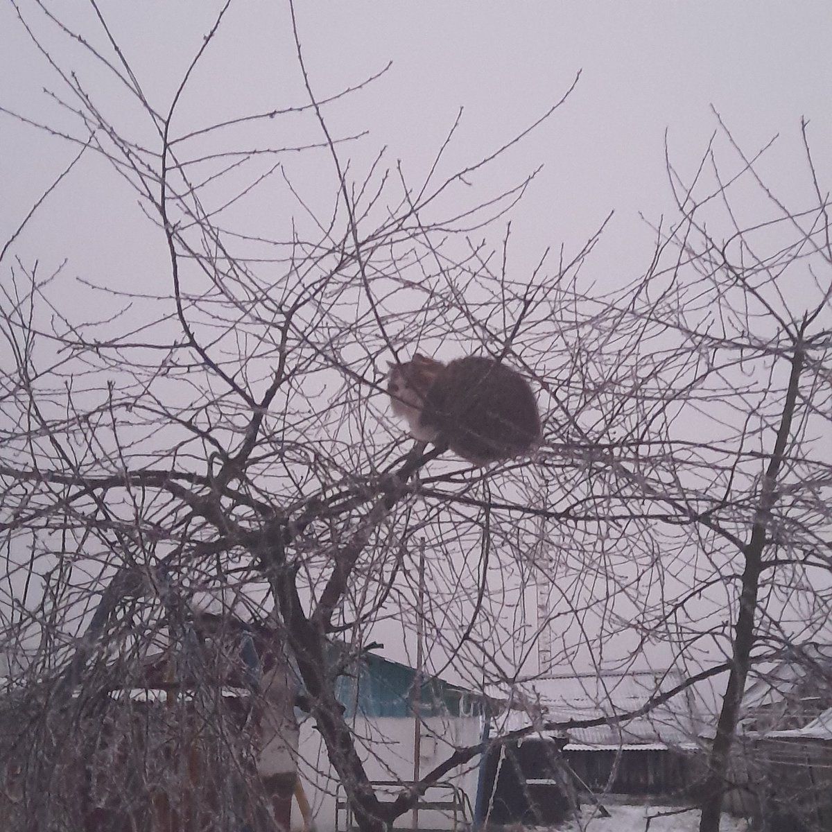 tattooed with a safety pin🦋//заброшен tweet media