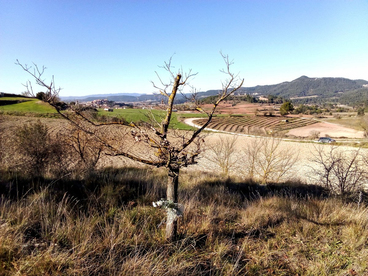 22 anys i convençut que el millor homenatge és seguir la lluita. Roger, sempre present!
#IndependènciaiSocialisme
#ValldelaGavarresa
#PaïsosCatalans