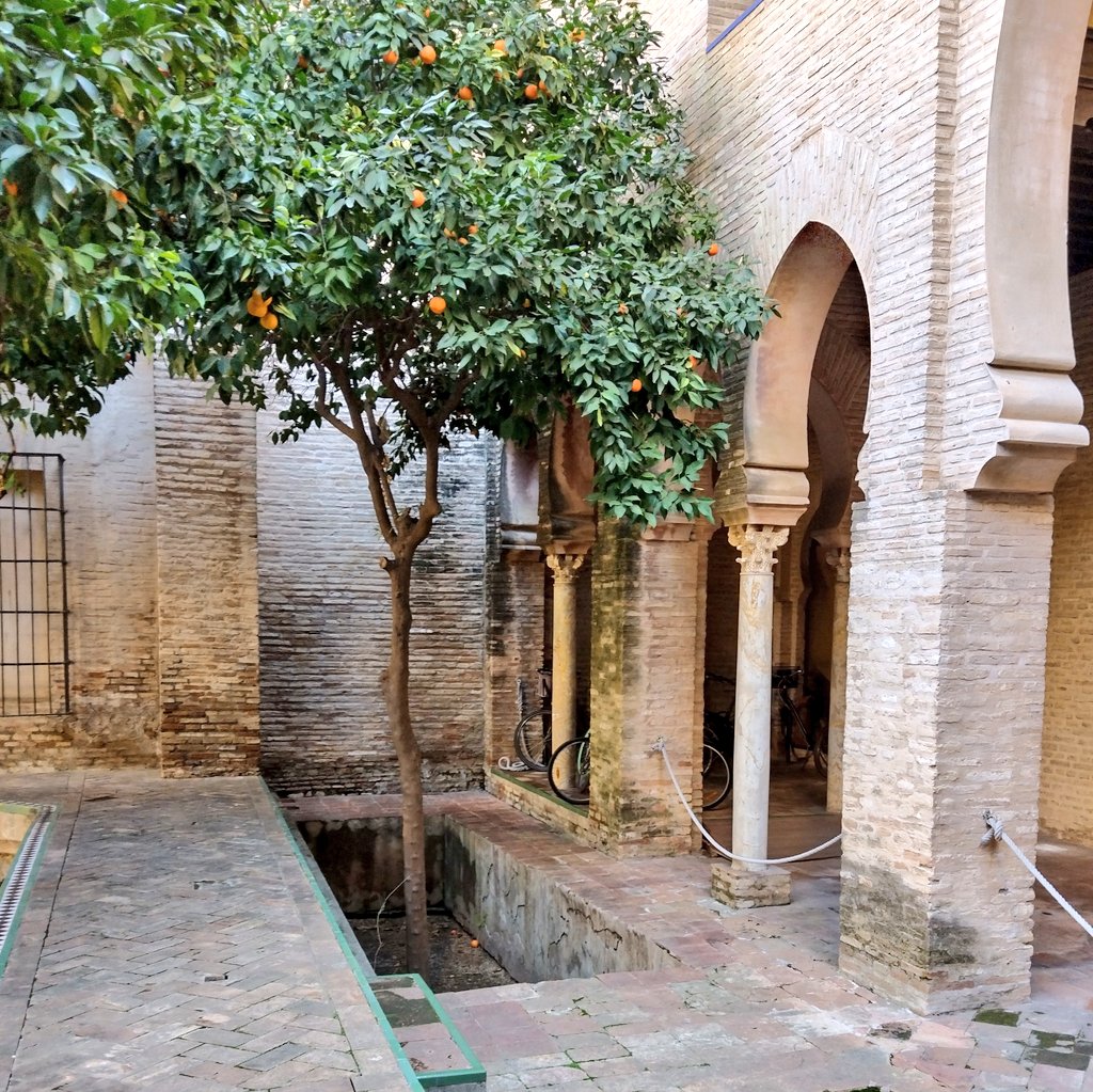 irimarq's tweet photo. Los parterres en la jardinería hispano musulmana solían hundirse, para pasear a la altura de flores y frutos,  alternando con estanques, y reforzando el concepto de arquitectura de los sentidos. Hoy estoy sólo se conserva en la Contratación de Sevilla.
#arquitectura #jardinería https://t.co/5ThlHsNzz6