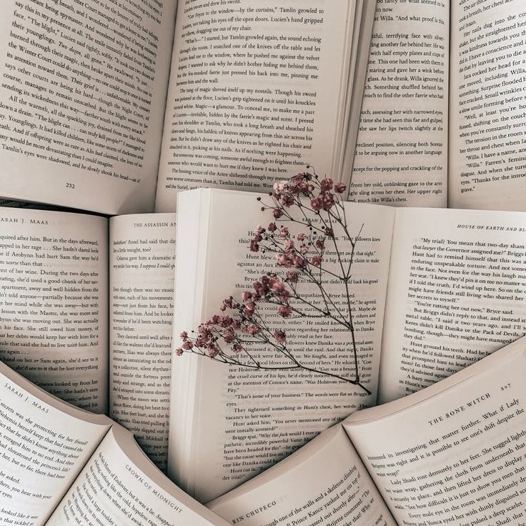 mads ᥫ᭡ tweet media