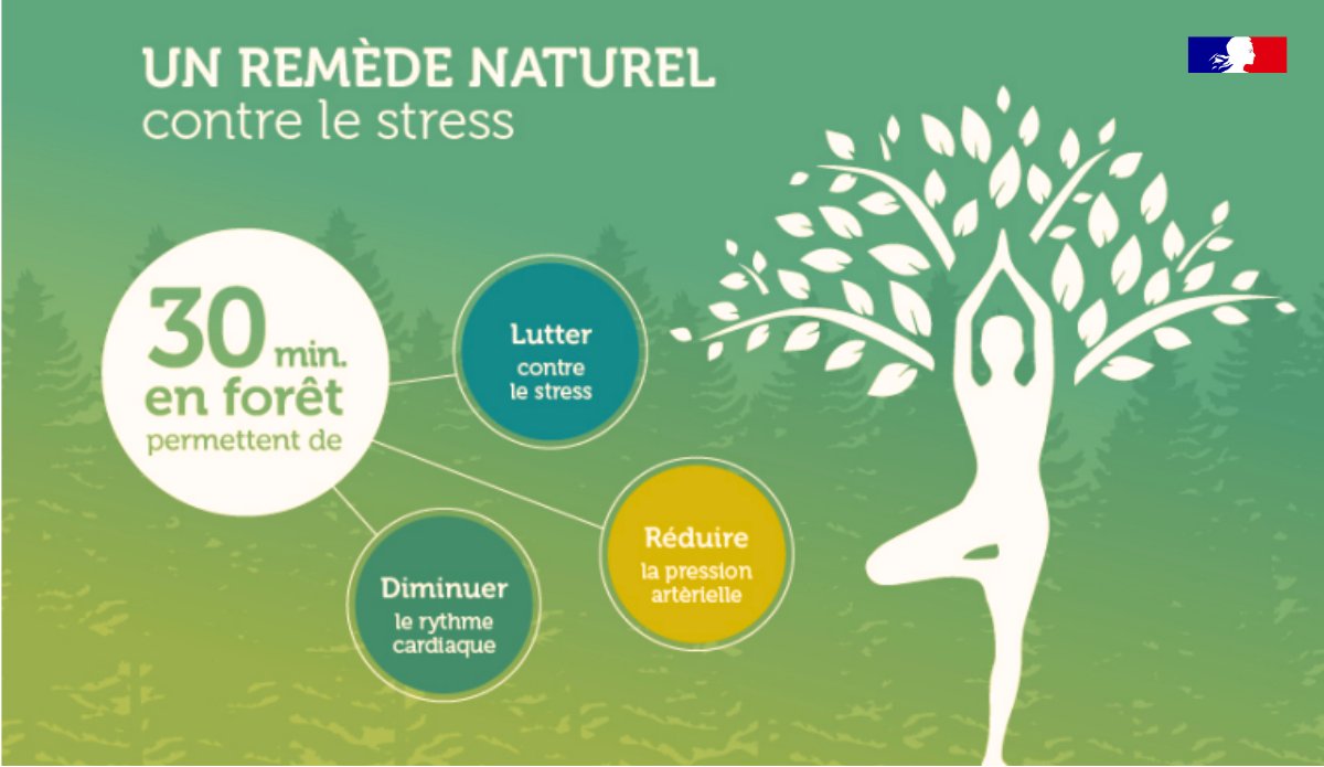 Et si en prévision du #bluemonday 😢 (supposément le jour le plus déprimant de l’année), vous luttiez contre la déprime avec une balade en forêt 🌳 ?!

Marcher en forêt permet de recharger ses batteries 🔋. 

Trouvez un massif domanial à proximité ⤵️ 
onf.fr/vivre-la-foret…