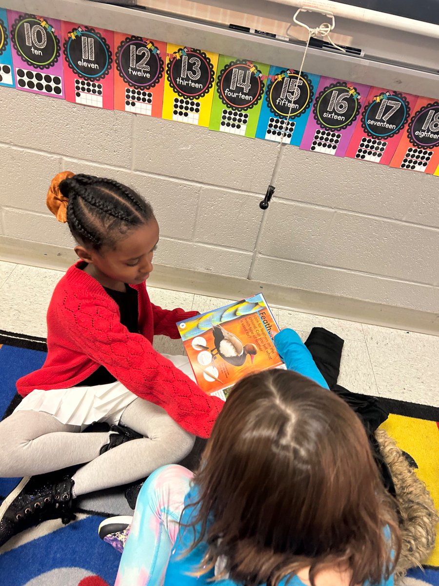 First grade is ready to take flight! My class loved exploring our new non fiction text about birds. They asked so many good questions and we added them to our “parking lot”!! #RCSK5ELA