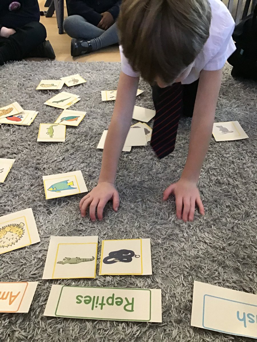 stambroserc's tweet image. Year 1 have been learning all about animals and enjoyed sorting and classifying them into different groups 🐇🦊🦔🐷🐍

#stem #primaryscience #keystage1 #keystage1science #learning #welovelearning