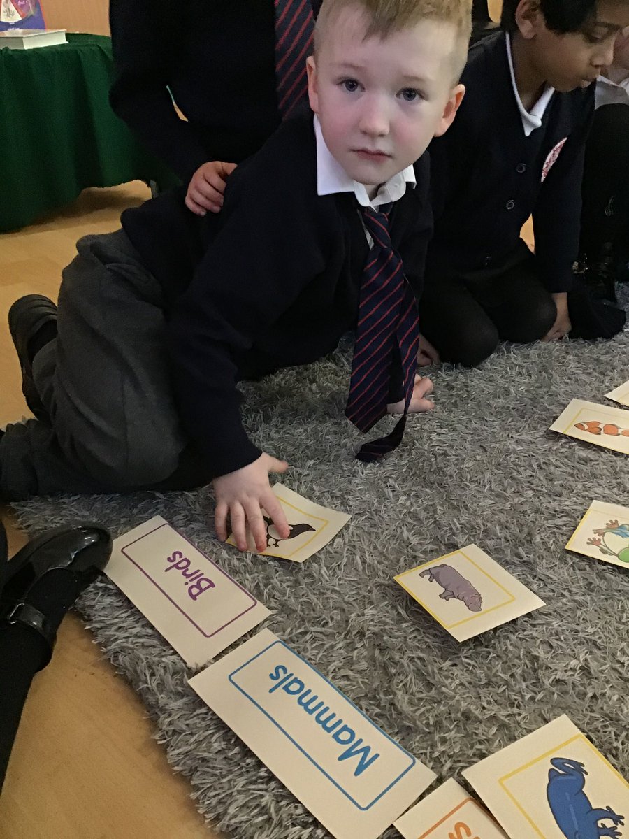 Year 1 have been learning all about animals and enjoyed sorting and classifying them into different groups 🐇🦊🦔🐷🐍

#stem #primaryscience #keystage1 #keystage1science #learning #welovelearning