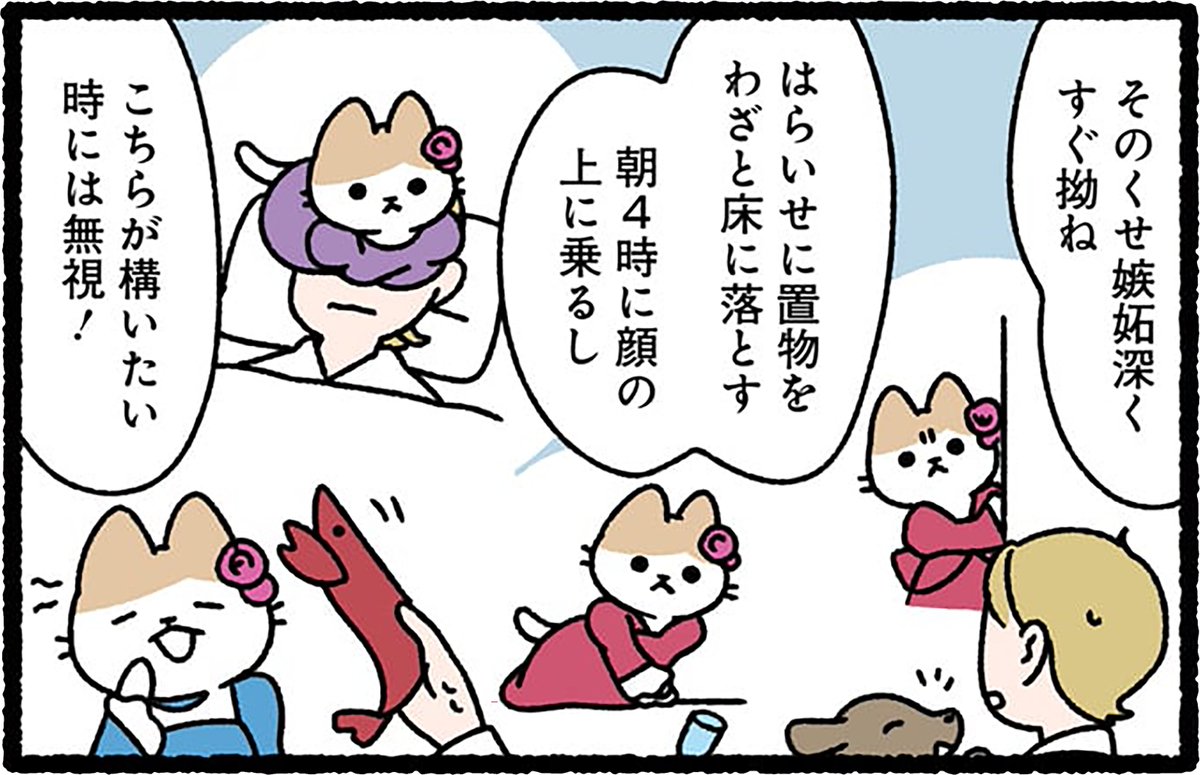 ぱんだにあ先生の『ねこのおしごと 第2巻』は3月28日発売予定! 
ご予約はこちら➡️https://t.co/xjtsX3DGJT 