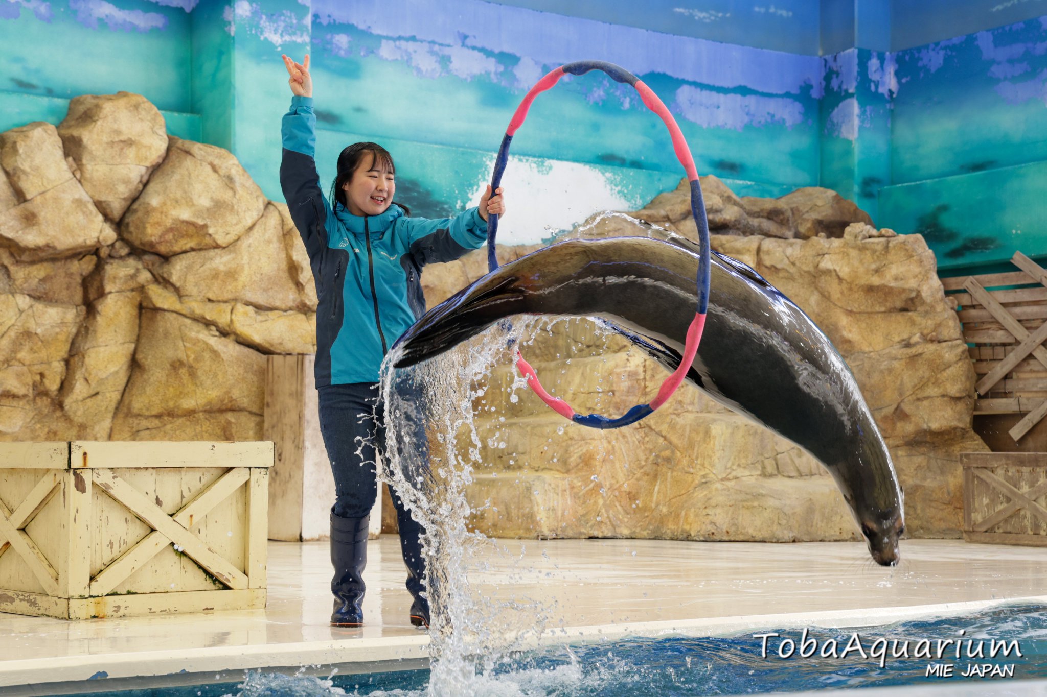 鳥羽水族館 ウォールポケットTOBA AQUARIUM Amazon.co.jp: カプくじ×鳥羽水族館 ラッコのメイちゃん メイ