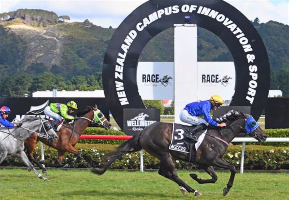 MapperleyStud's tweet image. WOLFGANG wins the WELLINGTON CUP

Born and raised at Mapperley Stud, Wolfgang becomes the 3rd individual stakes winner off the farm this season. 

#GatewayToSuccess #TheBrandSaysItAll