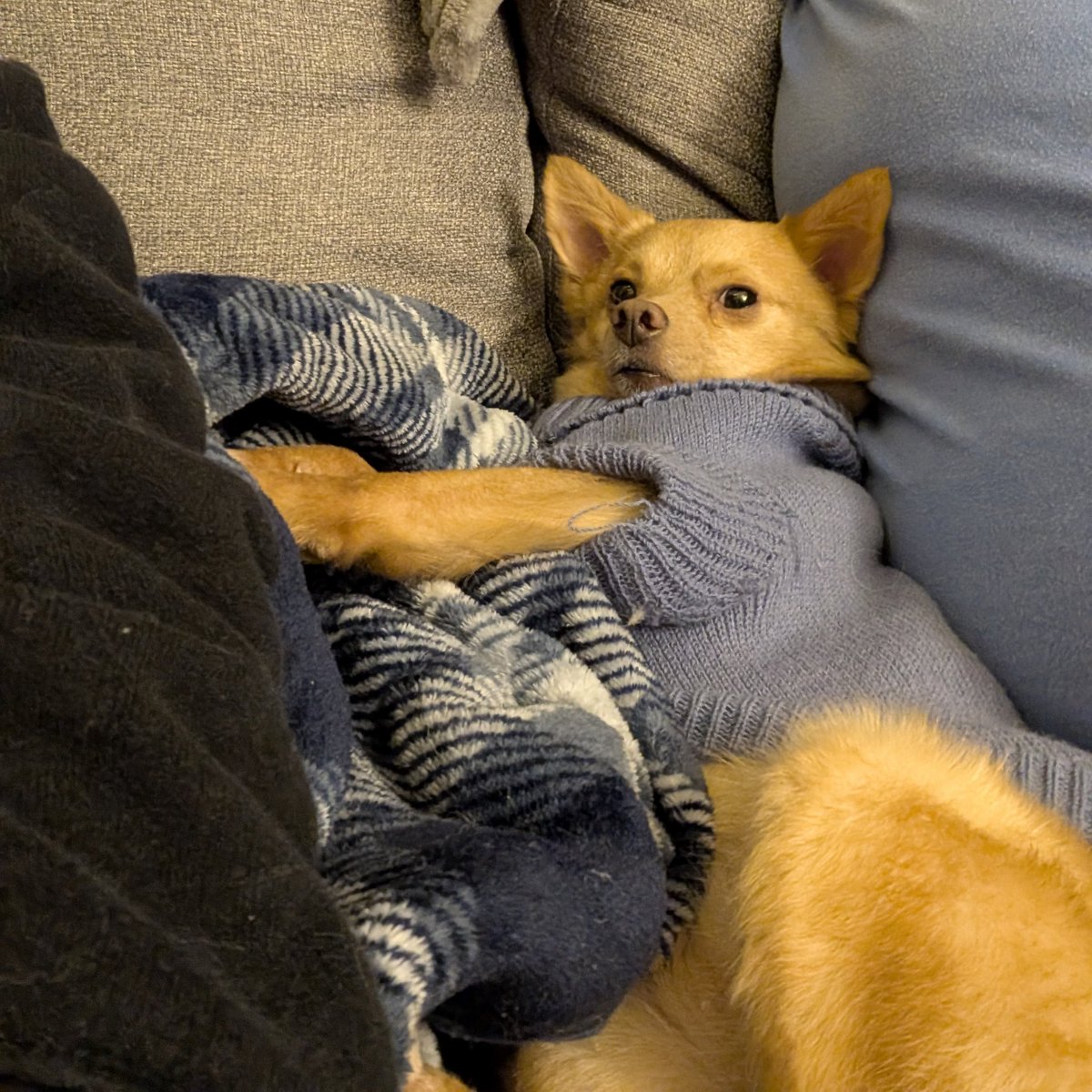 Peekay ♥🌻 tweet media