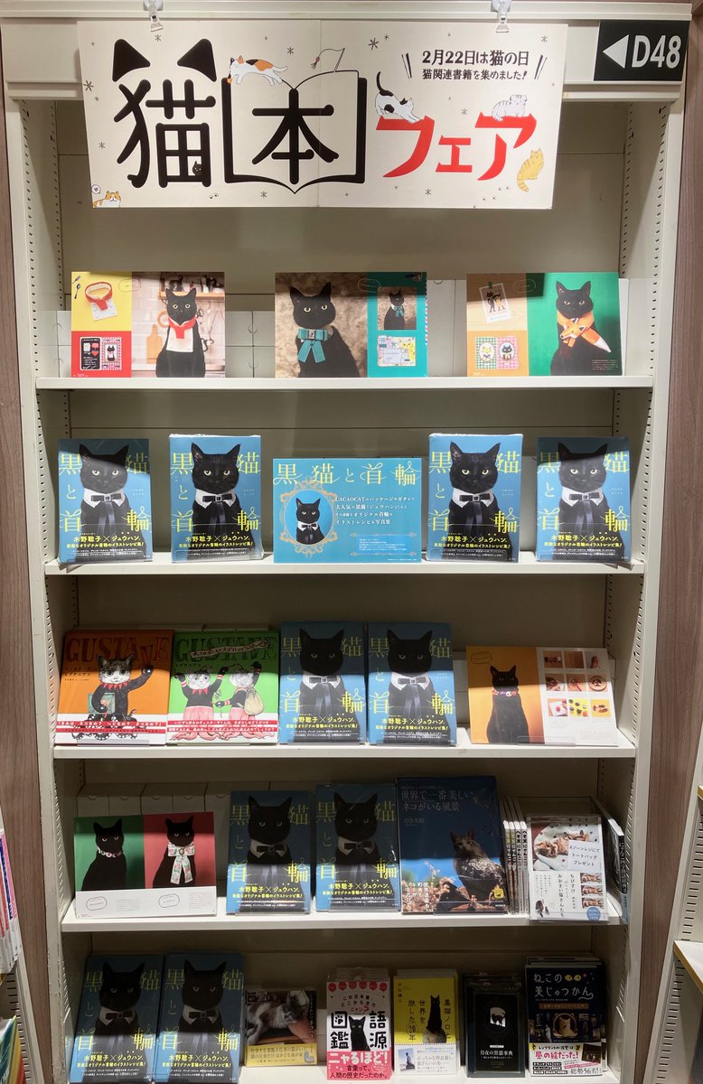木野聡子さんの作品集『#黒猫と首輪』（玄光社）の発売と2/22の「猫の