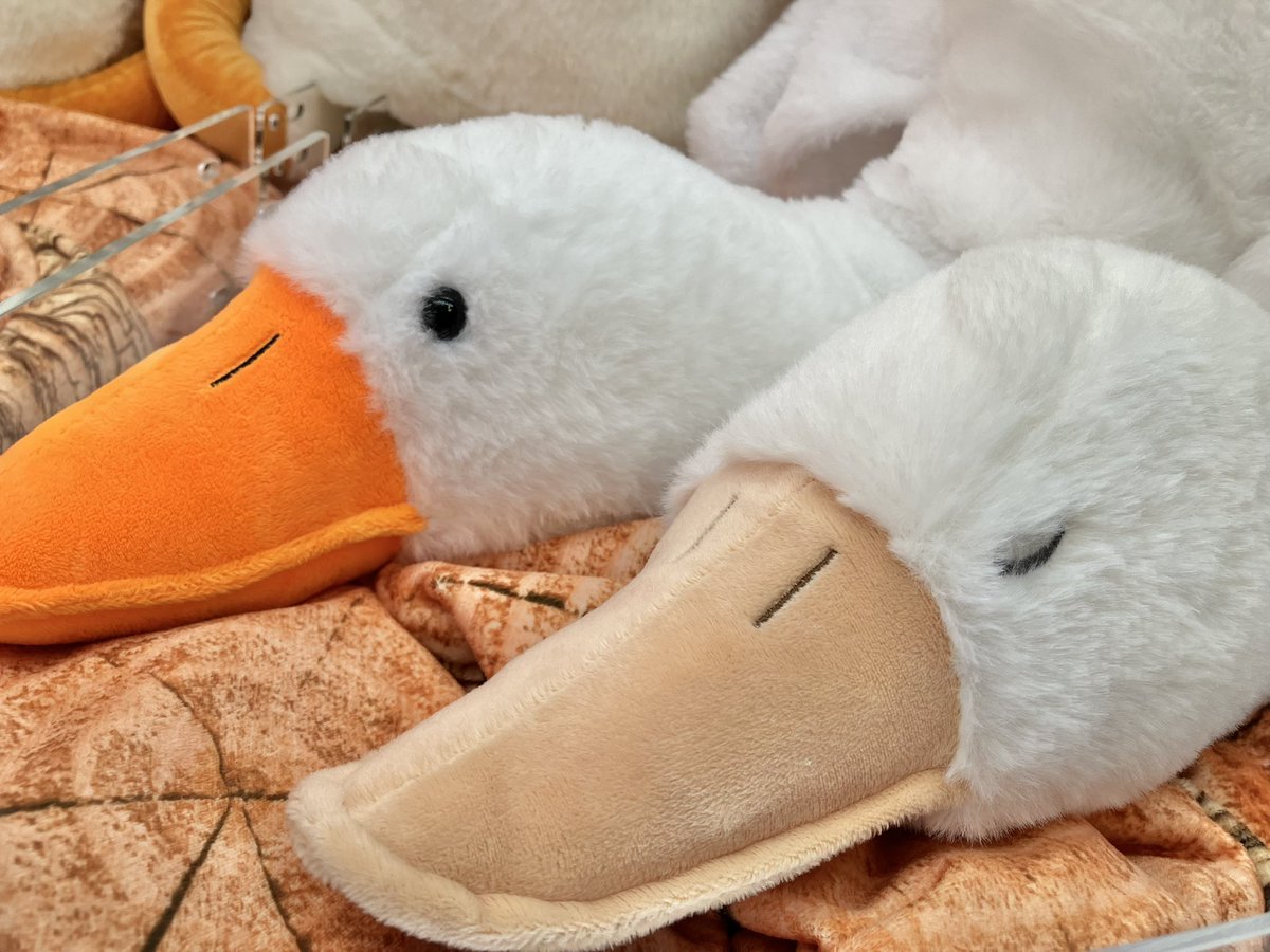 プライズ】新景品🪽くったりアヒル2超ウルトラBIGが登場いたしました