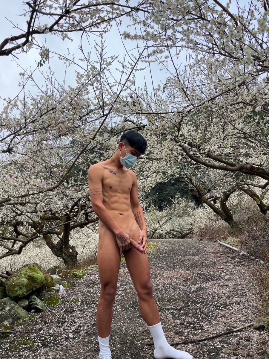 尼莫不是魚🐠 tweet media