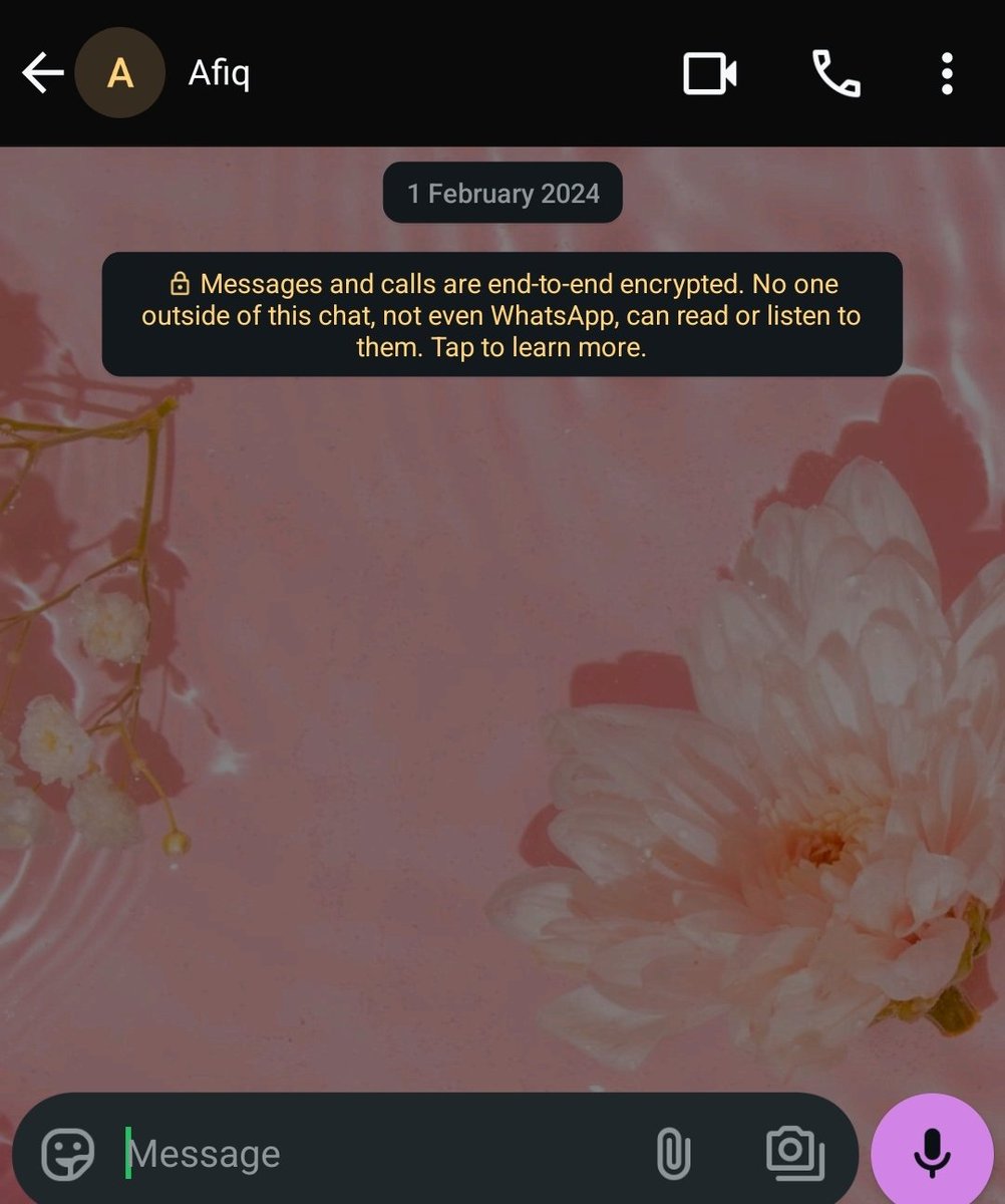 Saya baru perasan WhatsApp boleh tukar tema.