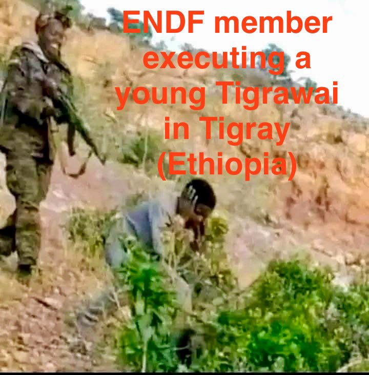 obsanbiya7's tweet photo. Tragically, another deeply disturbing Video has come to light, documenting the point-blank execution of another defenseless Oromo Young boy by Abiy Ahmed’s Interahamwe soldiers in South Oromia #West_Guji before a week! #Oromia #Ethiopia
https://t.co/4KroHITlf8
