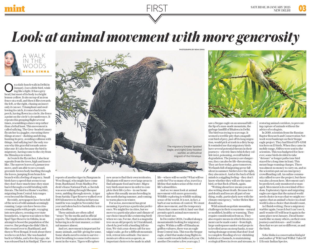 Neha Sinha tweet media