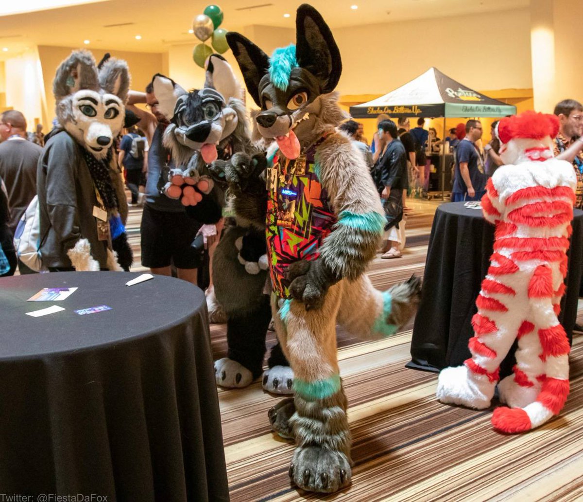 Daytona โSpeedyโ Husky! ๐ TFS? AWU! MPX? FM? MFF! tweet media