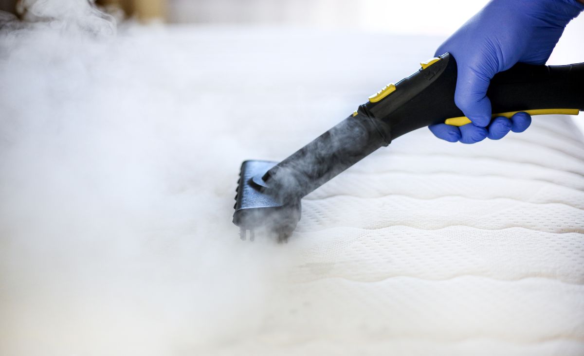 SmartCleanPest's tweet photo. Sleep Soundly on a Fresh, Clean Mattress – Trust Smart Cleaning Services for the Job!

🌐Visit our Website
https://t.co/UEFI1HqD6k

#CleanMattress #CannonHill #Brisbane #Queensland #FreshMattress #SleepSoundly #SmartCleaningServices #MattressCleaningExperts #DeepMattressCleaning https://t.co/r84lXjmuSW