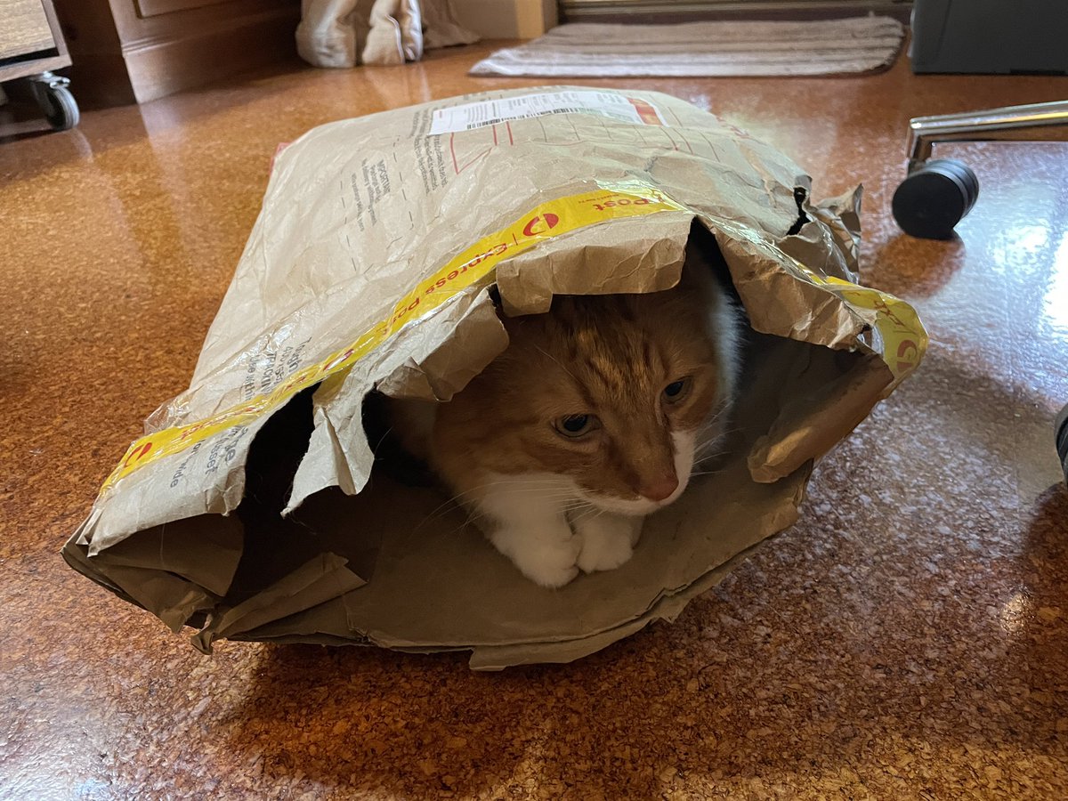 In the office, with the helper who at least isn’t hindering!! Might have to start checking my mail!!!