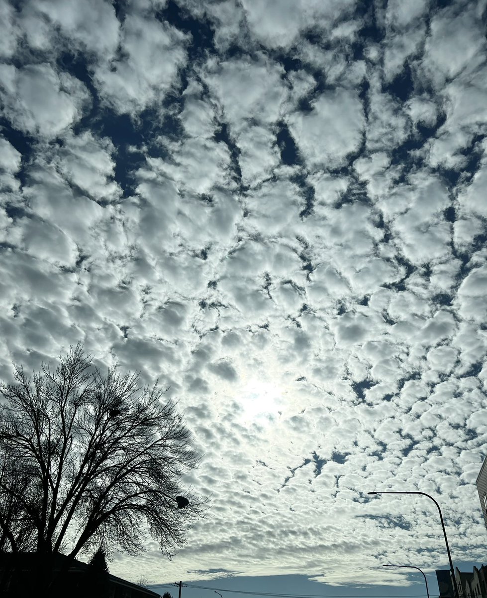 shaulee's tweet photo. I think of #TomSkilling when I see pretty clouds like these. #sky #clouds https://t.co/vJ6eSQi22g
