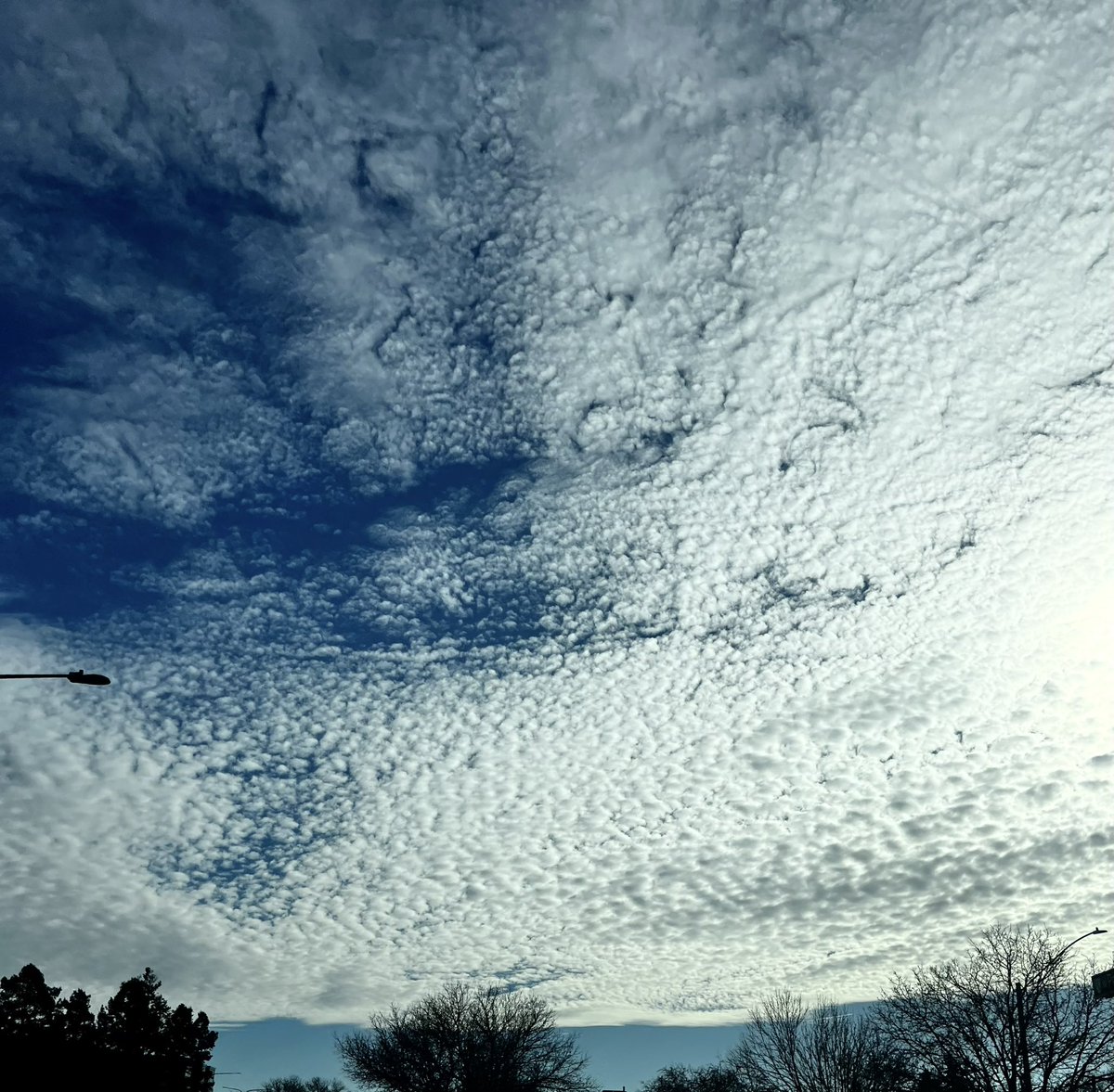 shaulee's tweet photo. I think of #TomSkilling when I see pretty clouds like these. #sky #clouds https://t.co/vJ6eSQi22g