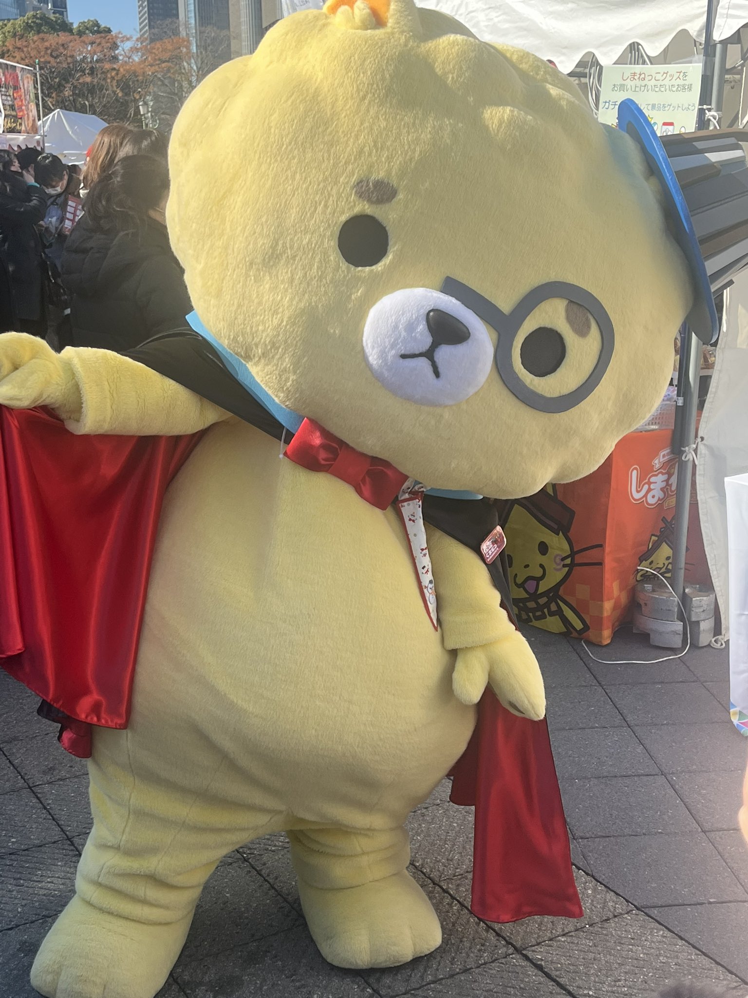 怪盗くまモンズ11 – търсене / X