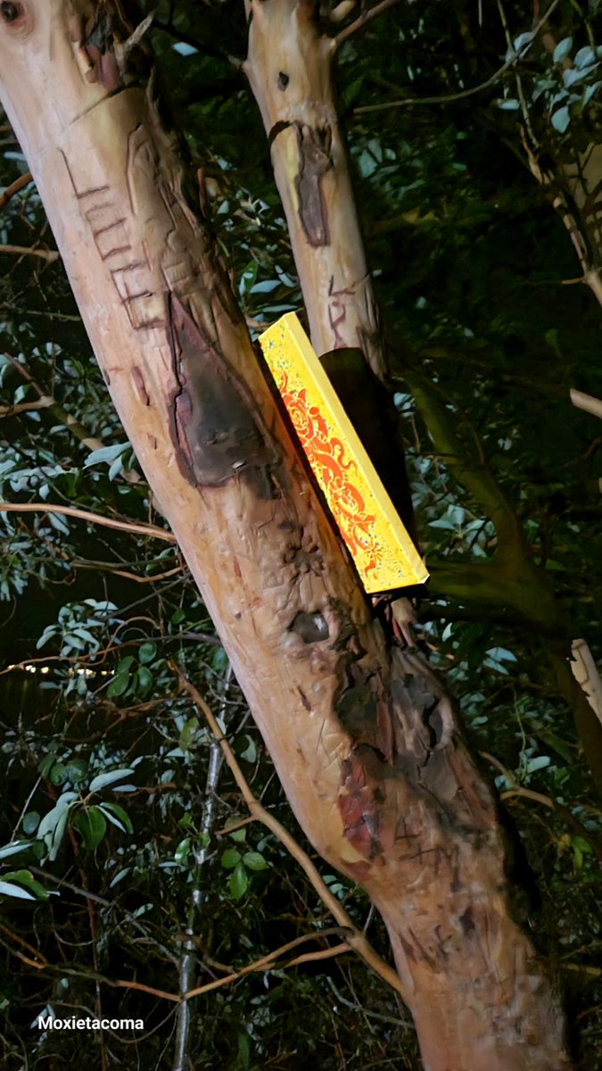 RandomUnicorn95 tweet media