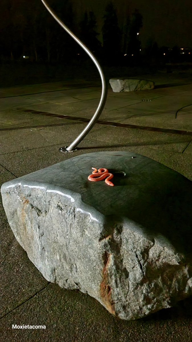 RandomUnicorn95 tweet media