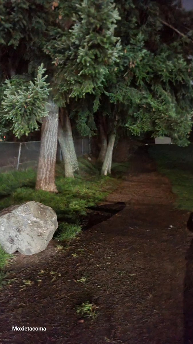 RandomUnicorn95 tweet media