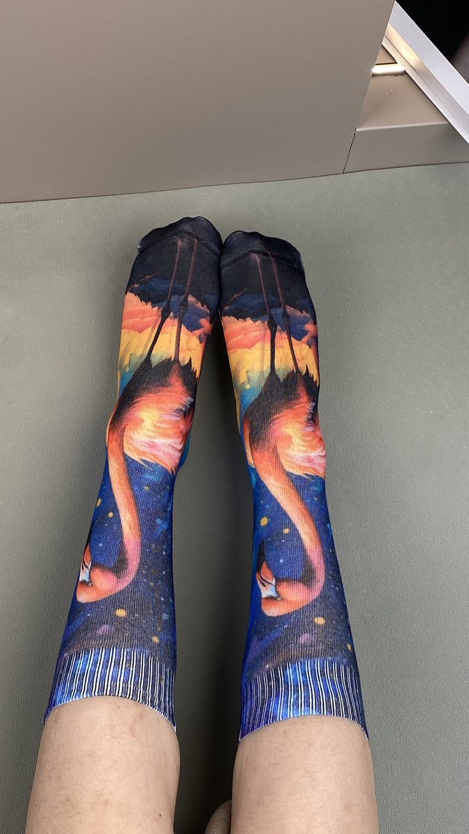 funny socks (@funnysocks557) / Posts / X