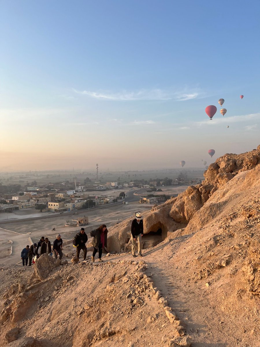 Dr Karin Sowada tweet media