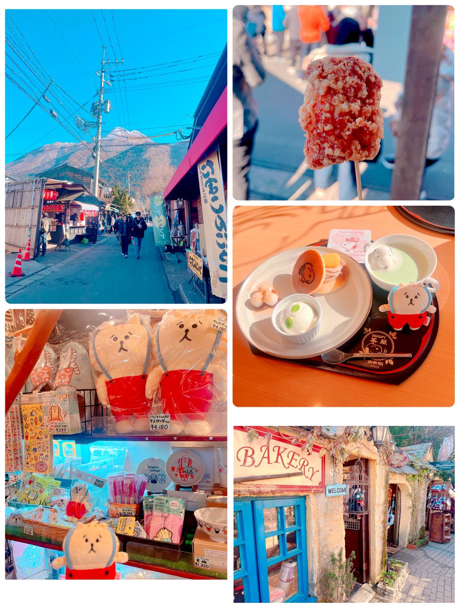QdOe9's tweet photo. 今日は湯布院へお出かけ🚗
ちびすけとぴよこ豆も一緒に✨
猫屋敷ってところになんとにゃんすけグッズが置いてあった(=I ´ᆺ｀I=)！
フクロウの触れ合いも可愛かった🦉
思ってた以上にふわふわ🤭

#ごろごろにゃんすけ
#ぴよこ豆 https://t.co/H9JreRRZ9b