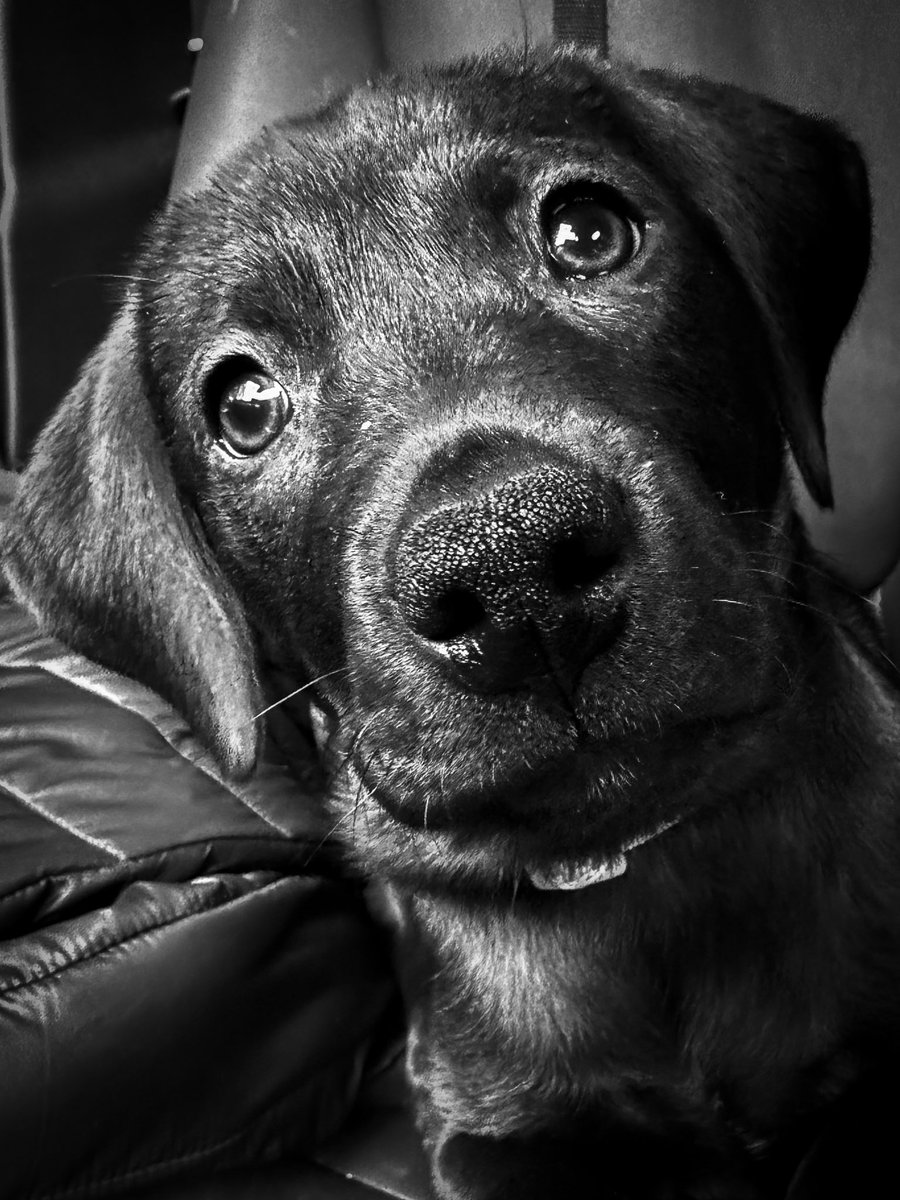 Tin Scoop (@tinscoop) on Twitter photo 