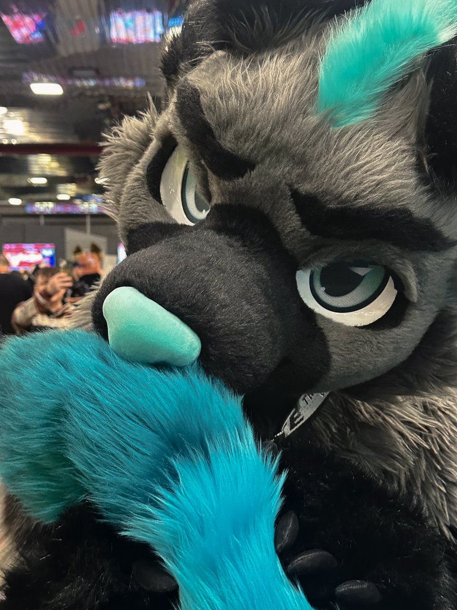 NOM NOM NOM
📸: <a href="/StridorPup/">Stridor</a> 

#FursuitFriday #FursuitEveryday #mff #MFF2024 #fursuit #furry