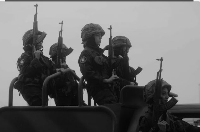 muhammad shibily tweet media