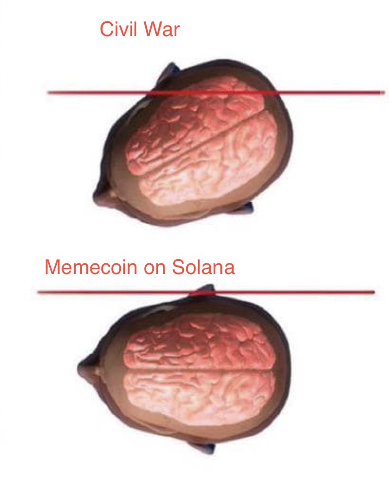 dr cavey phd ∿ tweet media