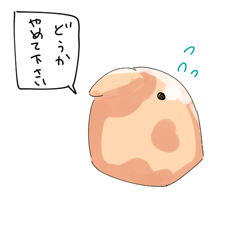 ひよこ豆さいばい一年目には信じられない状況だわ(収穫20つぶくらい)← 
